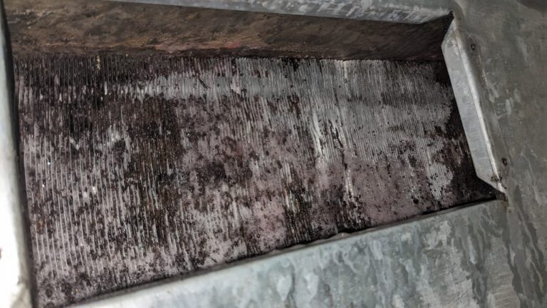 dirty ac coil with mold