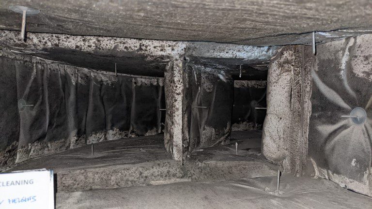 AC duct with mold contamination on all surfaces with mold removal and AC duct cleaning performed by Mistral Cleaning team