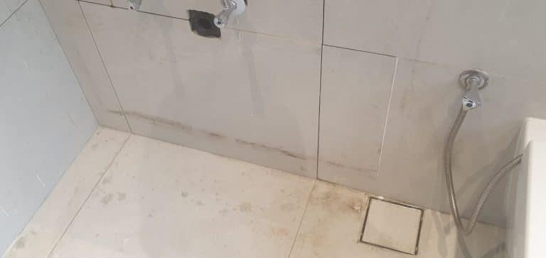 Mold growth in shower in Dubai with affected tiles grouting