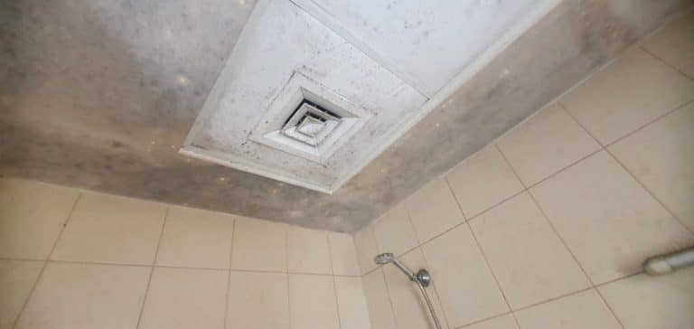 Mold growth on bathroom ceiling