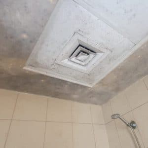 Mold growth on bathroom ceiling tiles
