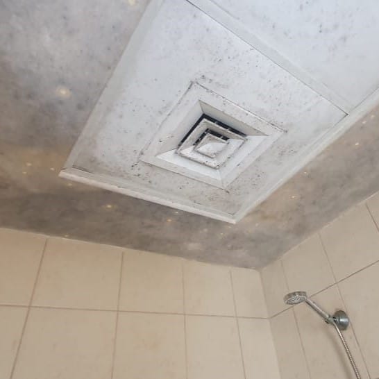 Mold growth on bathroom ceiling tiles