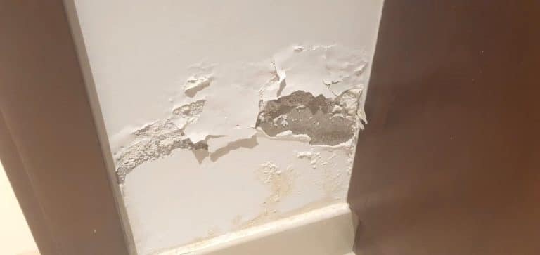Wall blistering and mold growth