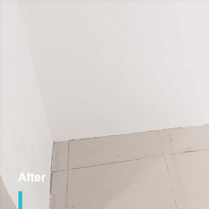 Clean and painted white walls after mold cleaning and disinfection