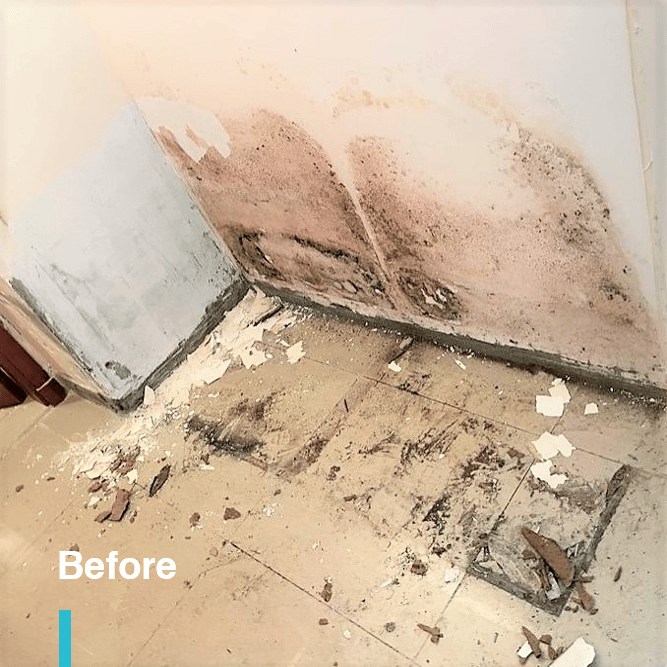 Mold growth on walls and ceiling tiles before cleaning